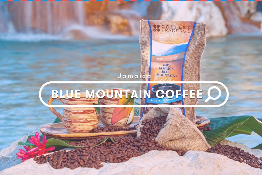 Jamaica Entertainment: Blue Mountain Coffee Festival